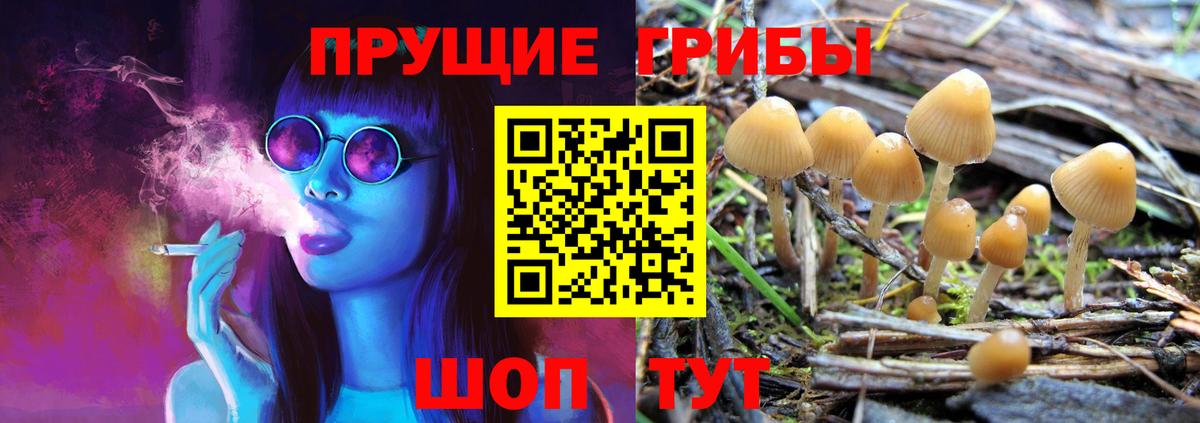 Рассказово  Псилоцибиновые грибы Psilocybe  Галлюциногенные грибы Magic Shrooms  Вход с VPN 